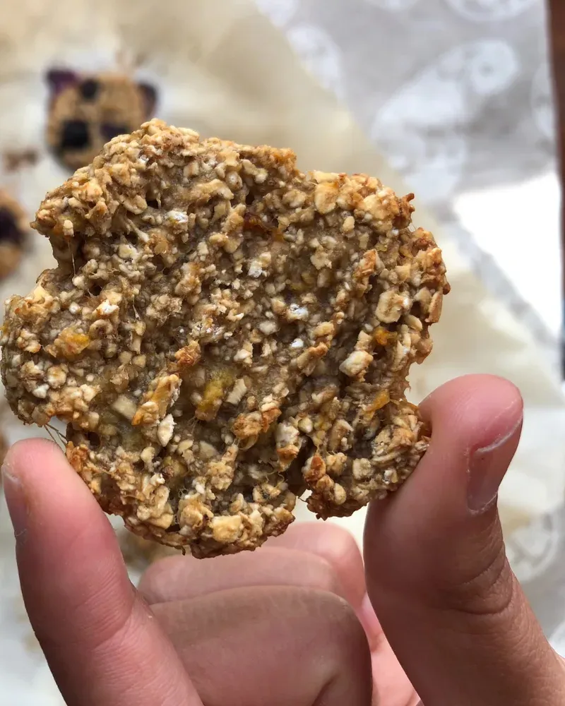 Galleta de avena casera, nutrición con base científica